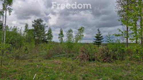 Twoje miejsce ciszy 750m od jeziora Warmia Mazury