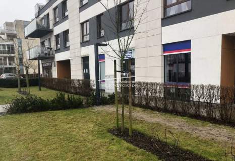 lokal użytkowy 179,84m2 parter, witryny, Wilanów p