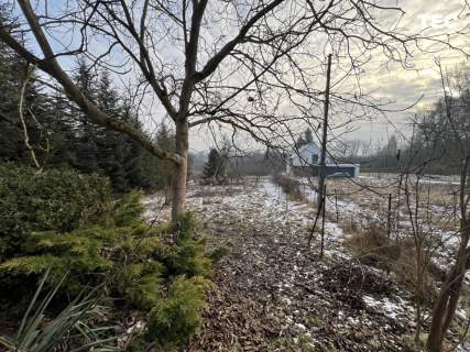 Dom marzeń Las Piękny widok