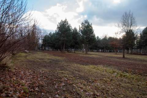 Działka MN Koszęcin Słowików 1099m2 Woda prąd