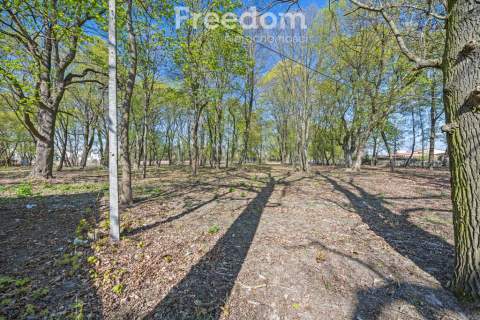 Zabytkowy park 1,2 ha 29 km od Warszawy