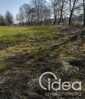Działka z linią brzegową w miejscowości Kaszewo.