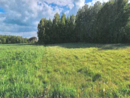 Sprzedaż nieruchomości Brzozówka 2,76 ha