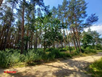 DZIAŁKA LEŚNA POD REKREACJĘ Z LASEM 789 M2 