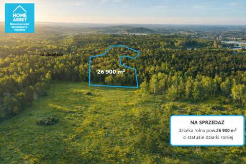 Działka rolna z lasem 2,69 ha Bieszkowice