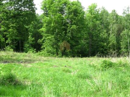 Działka budowlana/usługowa w zaciszu lasu 3350m2