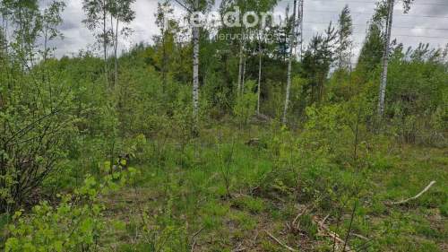 Twoje miejsce ciszy 750m od jeziora Warmia Mazury