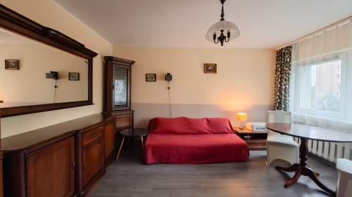 Słoneczne 1-pokojowe na Tysiącleciu, 30m2, oddzielna kuchnia