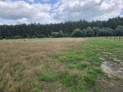 Działka budowlana na sprzedaż, 3652 m2, Ożarowice