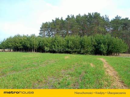 Działka orna w Uchaniu Dolnym k/Łowicza 24 000 m2