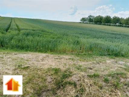 Grodzisko Dolne działka 58,08 ar