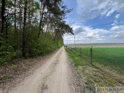 Klimatyczne siedlisko 2,2 ha z własnym lasem