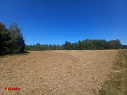 BLINNO DZIAŁKA ROLNA 1,32 HA