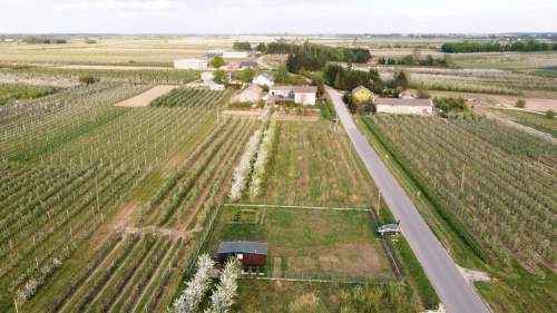 Cisza, natura, sady działka gm. Biała Rawska