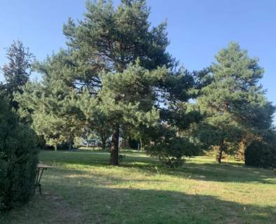 Wołomin działka mieszkaniowo-usługowa