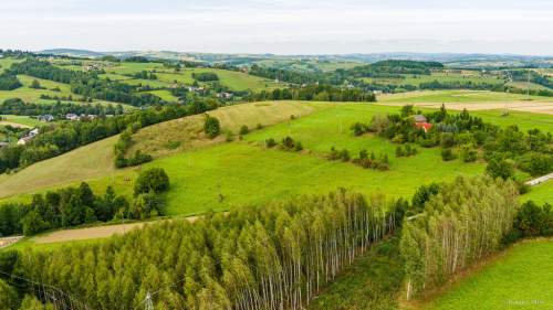 Hektarowa działka budowlana w Krużlowej Wyżnej 