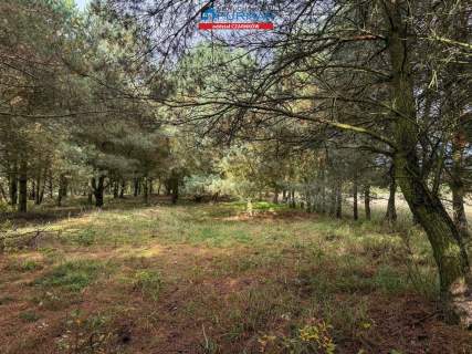 Działka budowlana na sprzedaż, 8200 m2, Rychlik