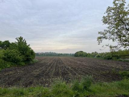 Działka inwestycyjna 55 arów Kalisz