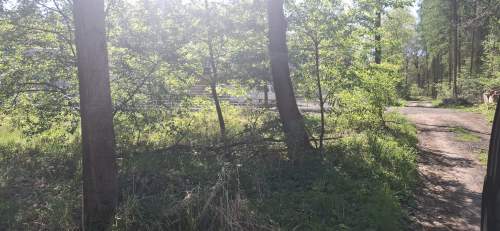 Działka pod lasem na sprzedaż