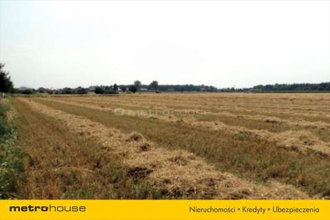 Działka rolna na sprzedaż, 79900 m2, Luciny