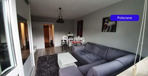 Mieszkanie do wynajęcia, 24 m2, Warszawa