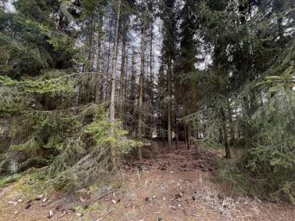 Piękna zalesiona działka z widokiem na staw zakup bez prowizji