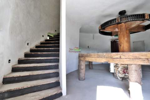 Wiatrak typu Holenderskiego pod restaurację airbnb