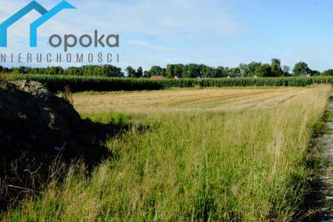 Działka w Zaborzu