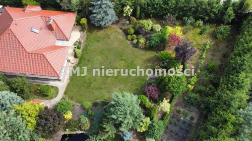 Dom marzeń w otoczeniu lasu