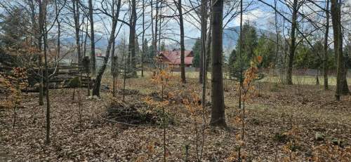 Działka budowlana na sprzedaż, 1200 m2, Lipowa