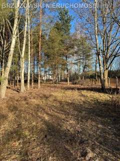 Mieszkowo, 3404 m2, WZ x 2 domy, 4 jednostki