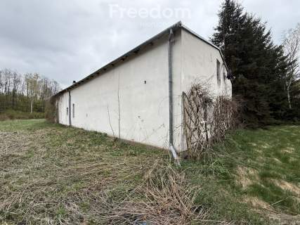 Siedlisko w Stajęczynach na dużej działce