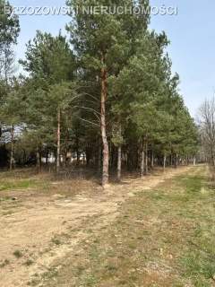 Mieszkowo, 3404 m2, WZ x 2 domy, 4 jednostki