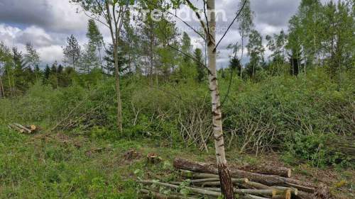 Malownicza działka 750m od jez Narie Warmia Mazury