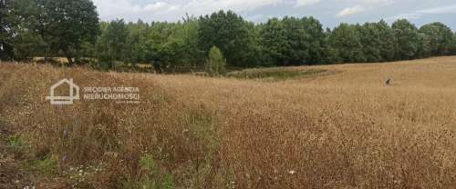 Działka budowlana, 1070 m2 Skrzeszewo/Żukowo