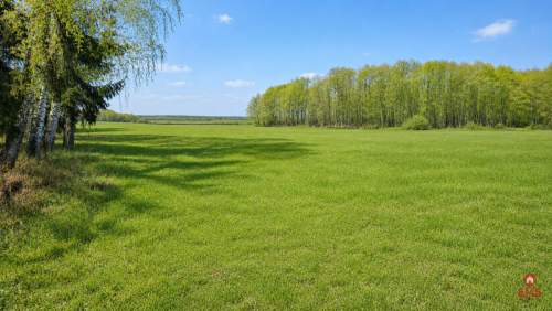 Działka rolno-budowlana 2,5 ha. Nowosiółki