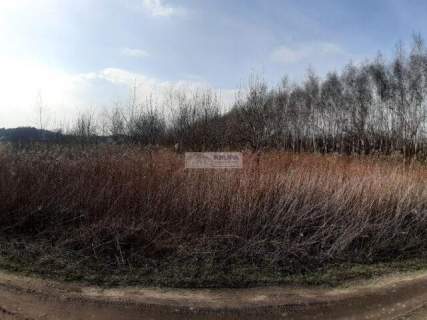 Działka rolna na sprzedaż, 8280 m2, Czarna