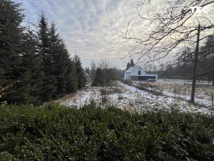 Dom marzeń Las Piękny widok