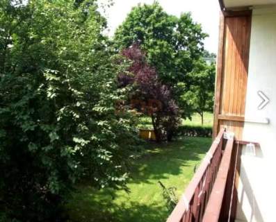 Słoneczne 3 pokojowe / oddzielna kuchnia / duży balkon / piwnica