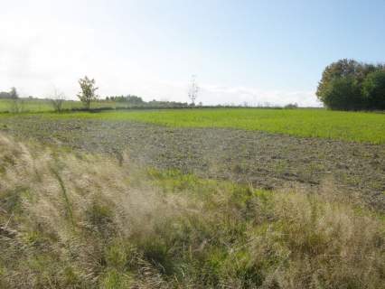 Działka z WZ, 148zł/m2, Szemudzka Huta