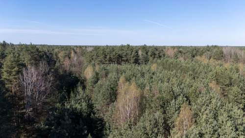 Działka rolno-leśna Zendek
