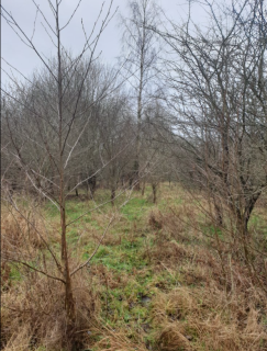 6,75 ha z WZ na 20 domów 5 km od morza Charnowo/Ustka