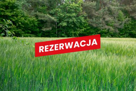 Na sprzedaż działka 79 arów- Domosławice
