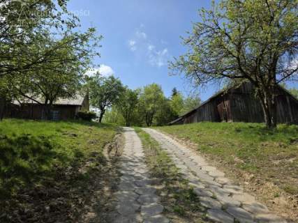 Drewniany dom na wzgórzu - wśród lasów i ciszy, 4,04 ha