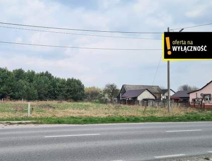 Działka w świetnej lokalizacji Kolonia Bogoria