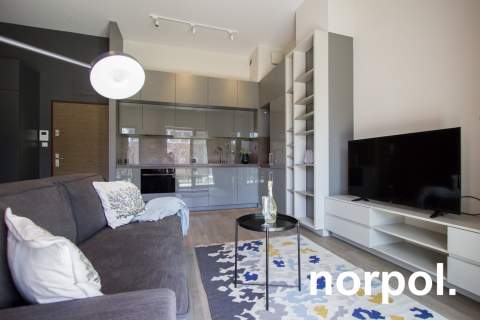 Nowoczesne mieszkanie z loggią i tarasem / Modern apartment with...