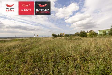 Piękna działka inwestycyjna- Gniew 