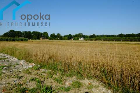 Działka w Zaborzu