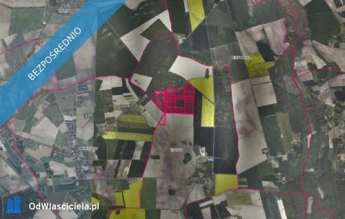 Kompleks działek w Żydowie