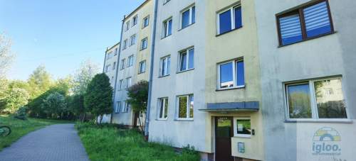 Mieszkanie 3/4 pokoje -Balkon -Parter -Do Remontu -os.Bocianek